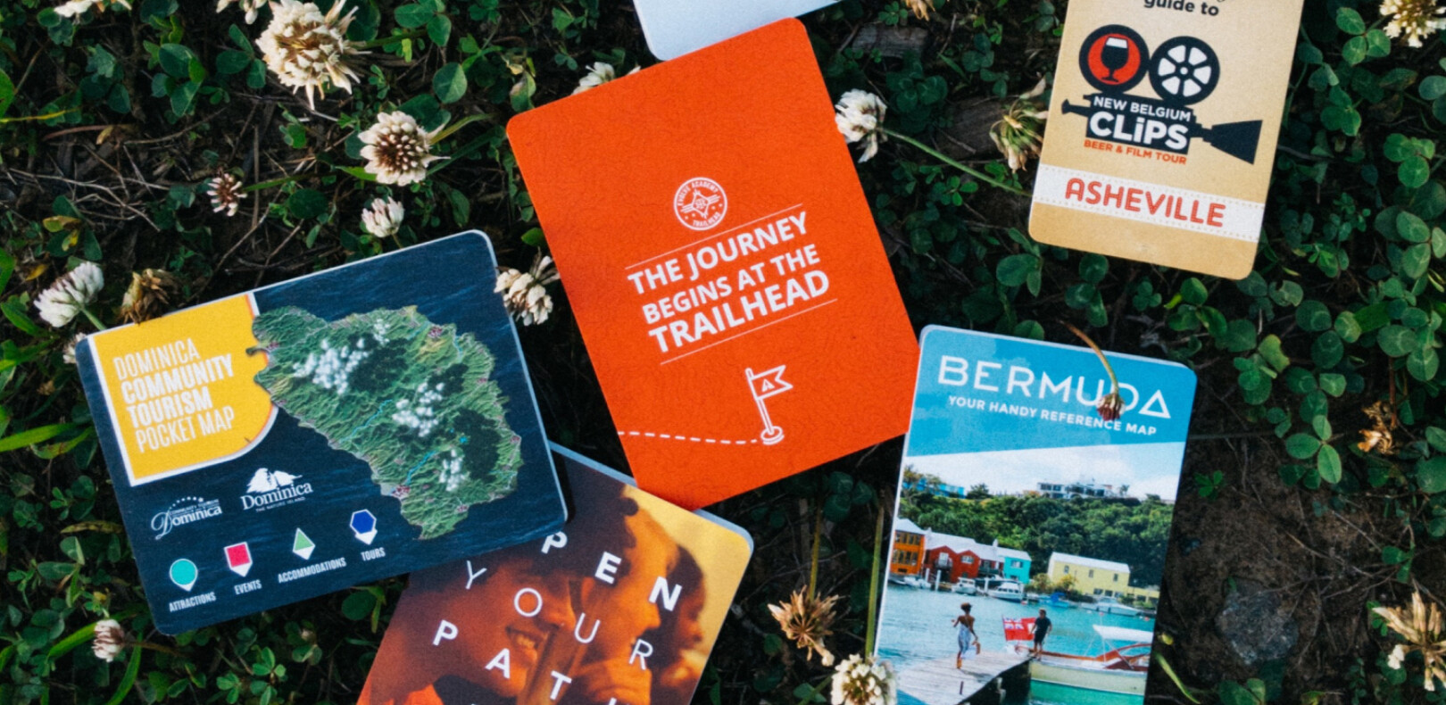 PocketMaps Spread – Trail, Beach, and City Editions Among Wildflowers